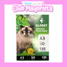 6 RESMA PAPEL FOTOGRÁFICO ADHESIVO GLOSSY A3 / 135 GRS - CLUB MAYORISTA